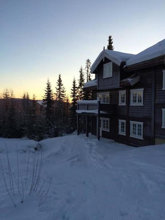 Flat In Trysil Ski In Ski Out And Sauna Eksteriør billede